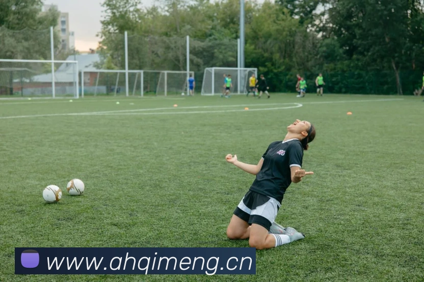 米兰app登陆入口全站App